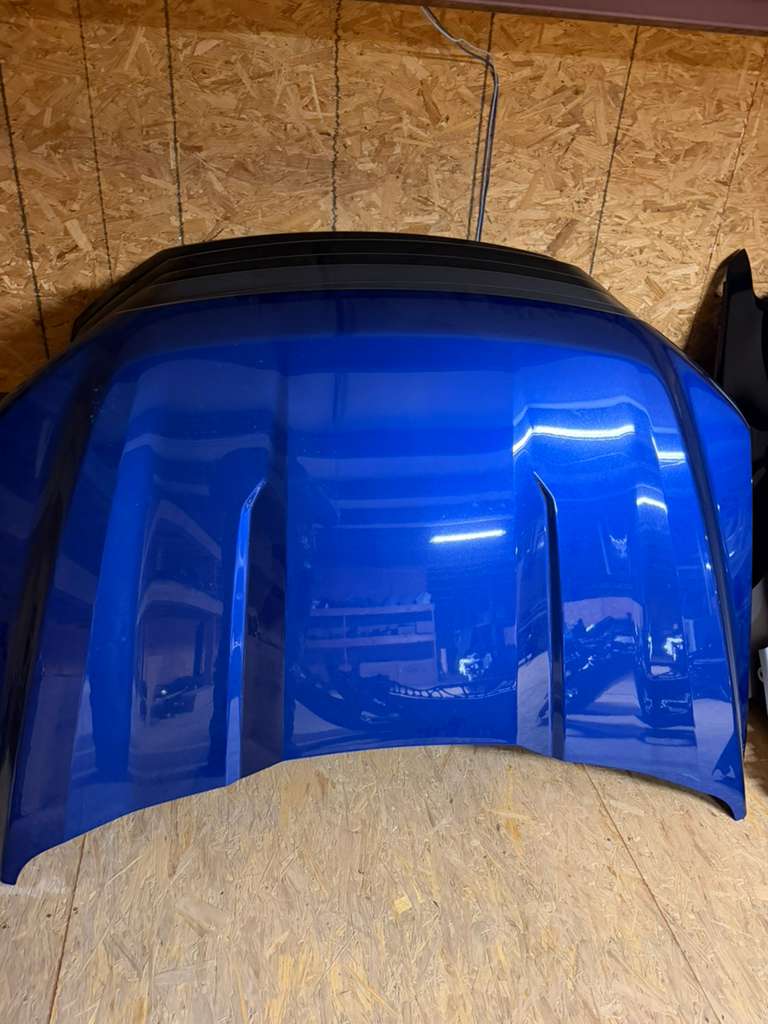 Hood 2021-2026 Ford F-150